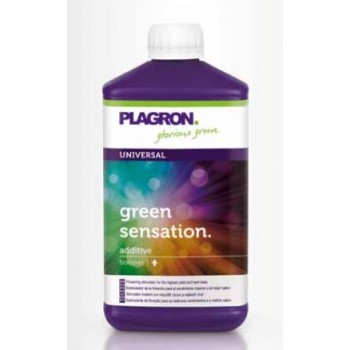 plagron green sensation