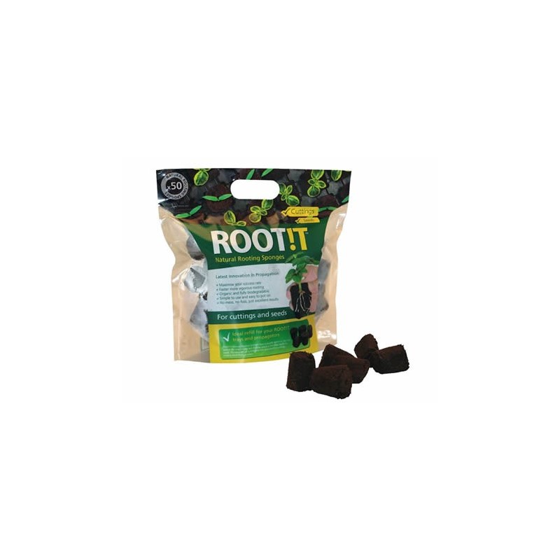 eponge coco pour graine et bouture eponge coco pour graine et bouture