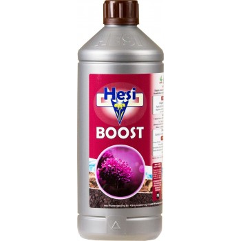 hesi boost