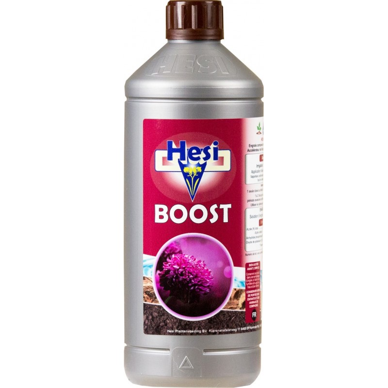 hesi boost