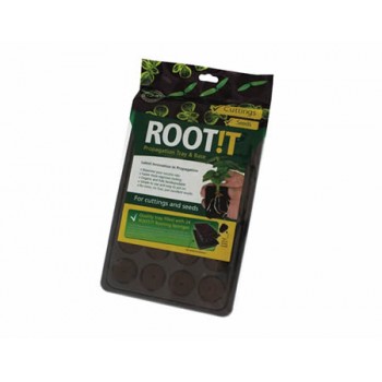 eponge coco bouture graine