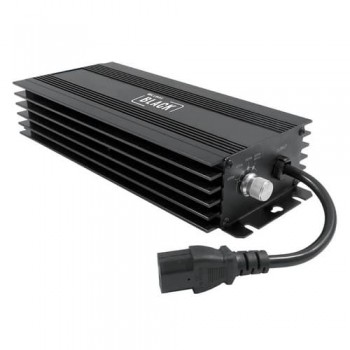 ballast 400w floraison