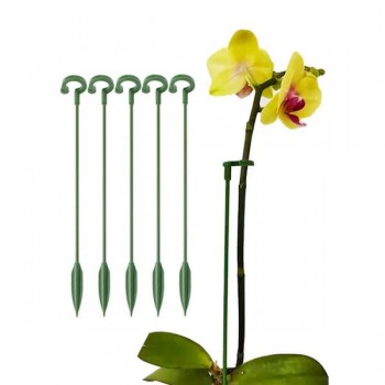tuteur plante orchidée