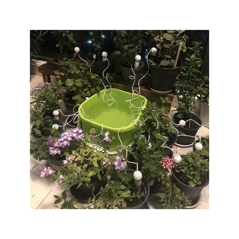 Arrosez sans effort vos plantes avec notre dispositif d'arrosage automatique  des fleurs - Sac d'eau à débit réglable de 350 ml parfait pour le pla en pot  intérieur et extérieur