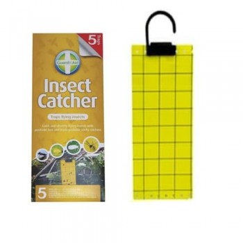 piege collant insecte