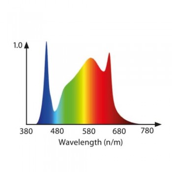 led horticole 250w