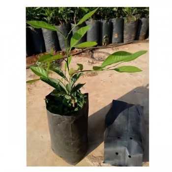 sac pot plastique 2 litres