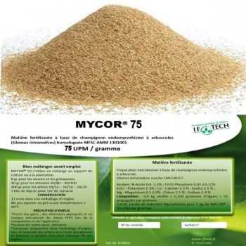 mycorhyze glomus intraradice et bactérie azospirillum brasilense