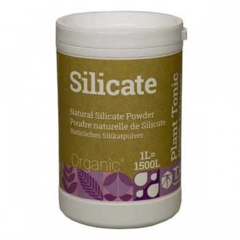 silicate silice naturel plante