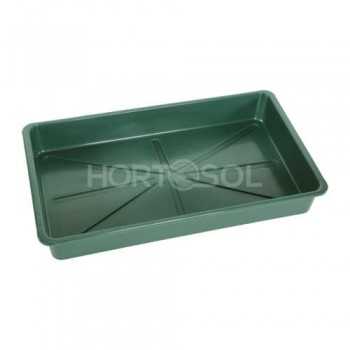 serre germination